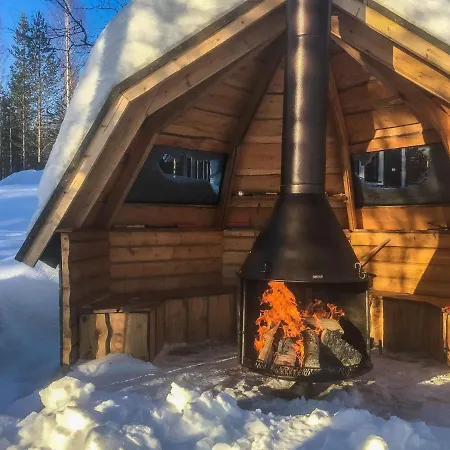 Vihtori By Interhome Holiday home *